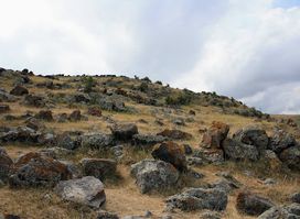Teysheba