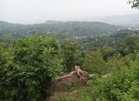 View point (SAK)