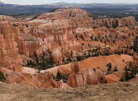 Black Birch Canyon