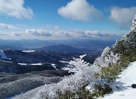 Zao Onsen Ski Resort (Central Run)