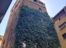 Torre dei Belfredelli sec. XII