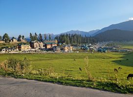 Gulmarg Wildlife Sanctuary