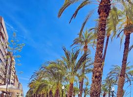 Passeig de l’Esplanada d'Espanya