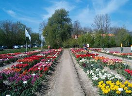 Tulpenshowtuin