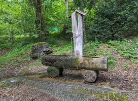 Refreshing water fountain