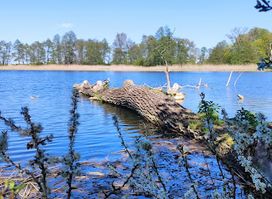 Jezioro Pelpińskie
