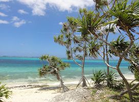 Mystery Island Tours