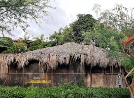 Moringa Ingadi Village