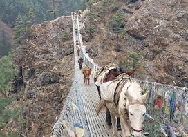 Everest Base Camp