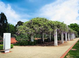 Senate Gardens | Old Parliament House Rose Gardens