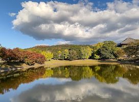 Todai-ji Daibutsu-ike Pond