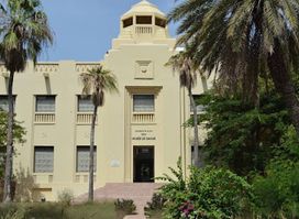 IFAN Museum of African Arts