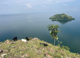 Birdwatching Boat tours & Kayaking
