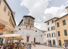 Luccaorganizza