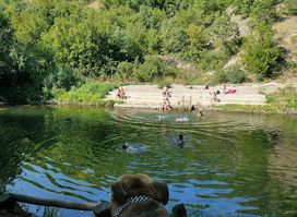 Crni Timok