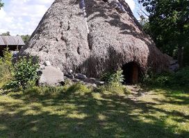 Attraction