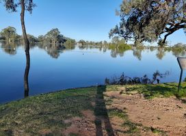 Waikerie Riverfront