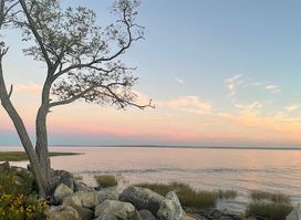 Greenwich Point Beach