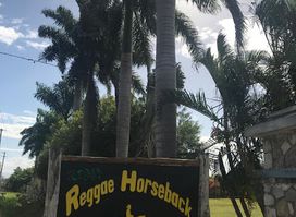 Reggae Horseback Riding & Tours