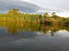 Reserva de producción de Fauna Cuyabeno