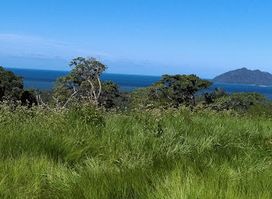 Djiru National Park