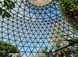 Brisbane Botanic Gardens Mt Coot-tha
