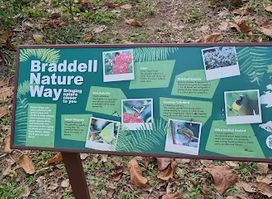 Braddell Nature Way