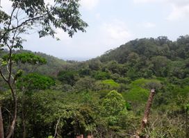 Reserva Natural El Cielo