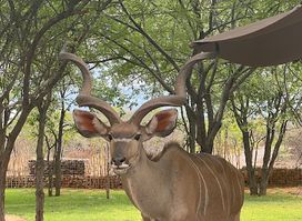 Etosha Village Campsite