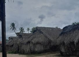 Mamsukun kuna yala