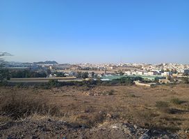 مطل