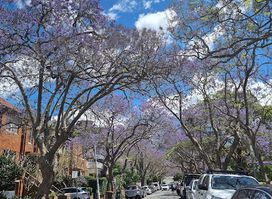 Milson Park