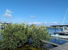 Coral View Dive Center