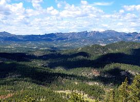 Custer State Park Mt Coolidge