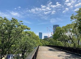 Shibuya Gate Observation Deck