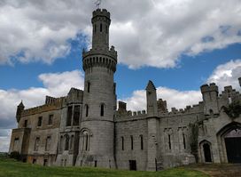 Duckett's Grove
