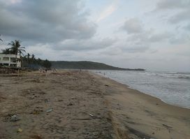Crocodile Island