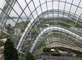Cloud Forest