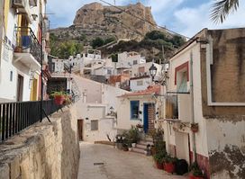 Hermandad de la Santa Cruz de Alicante