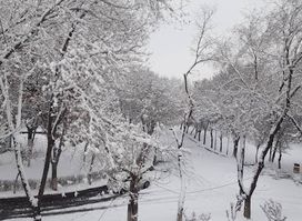 Zarnegar park