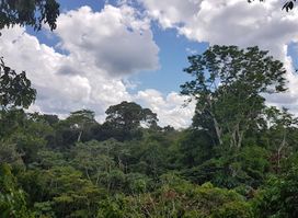 Reserva Natural Omagua