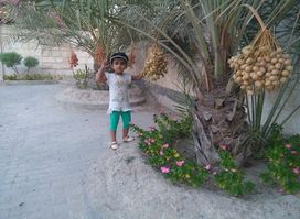 Sheikh Ahmed bin Ali Al Khalifa Historical Palace