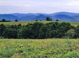 Zemplén Mountains