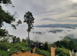 Negeri Di Atas Awan Citorek
