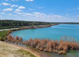 Rostiger Nagel (Landmarke Lausitzer Seenland)