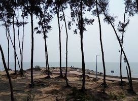 Digha Cashew Garden