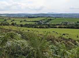 KerryScenicPlatform
