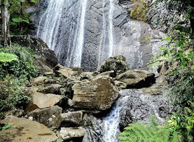 Catarata Coca