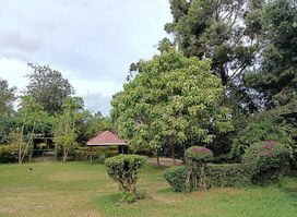 Natare Gardens