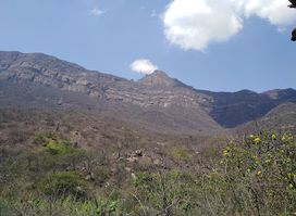 Reserva Ecologica Chaparri